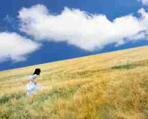 css输​入﻿框‍